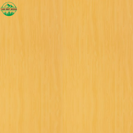 YELLOW MAPLE
